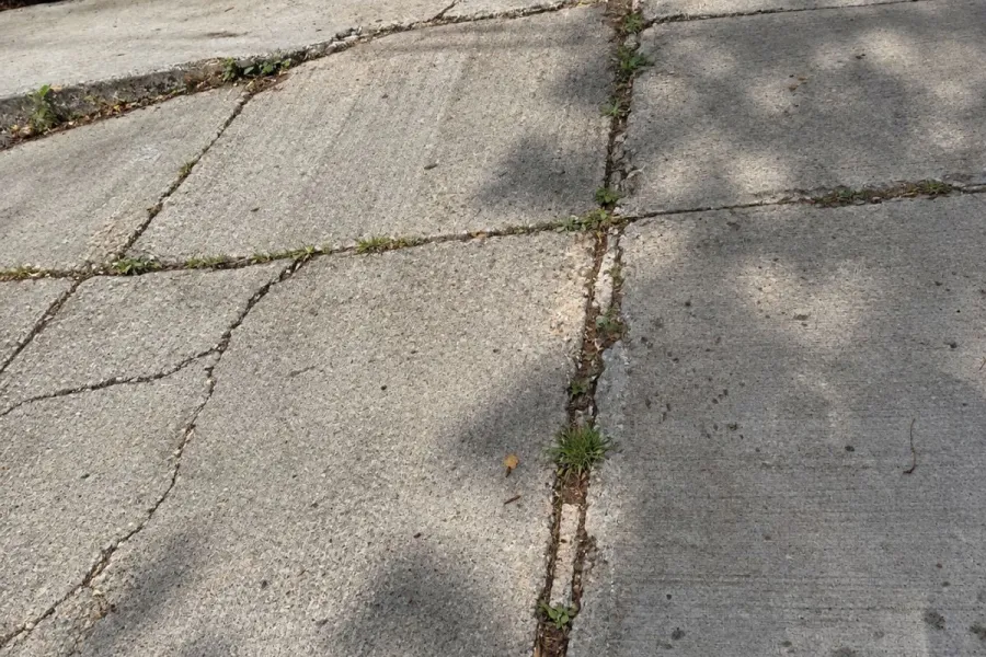 Cracked and uneven sidewalk slabs with weed growth before sidewalk violation repairs in Flushing, Queens.